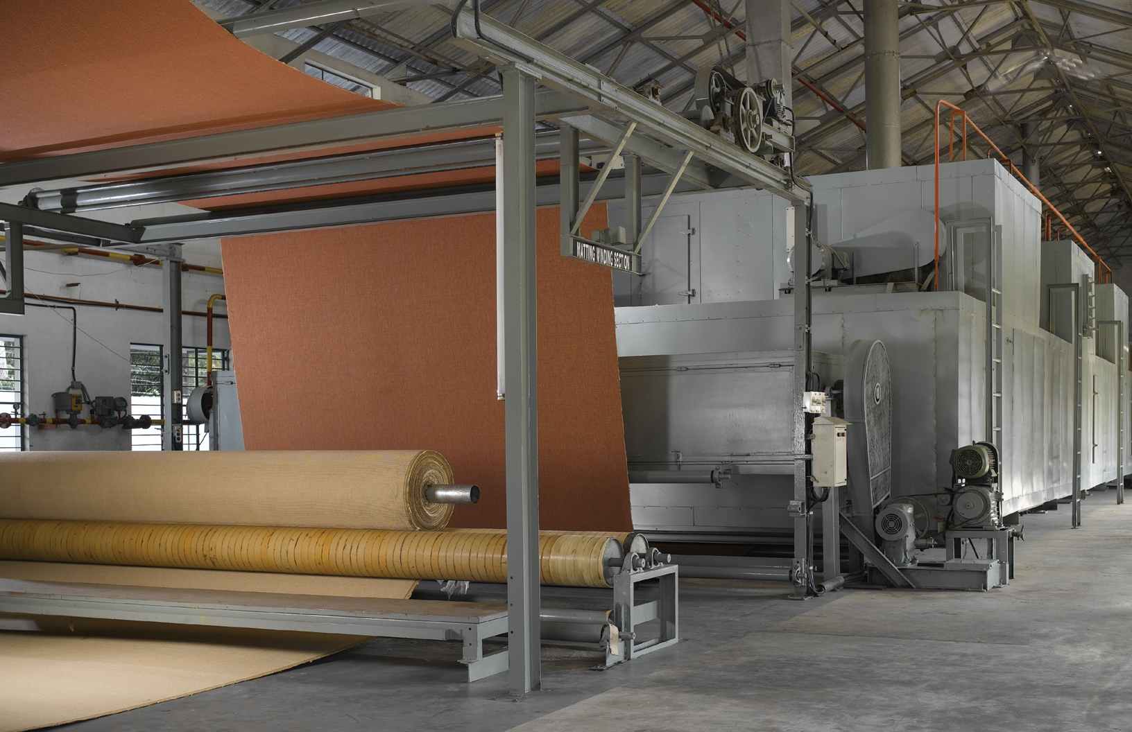 A lush green bamboo forest in Kerala, India.
